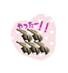 ニャーコだよ～2 ！（個別スタンプ：19）