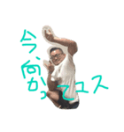 koga-z（個別スタンプ：8）