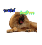 Enfant and Friends（個別スタンプ：3）