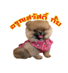 Enfant and Friends（個別スタンプ：24）