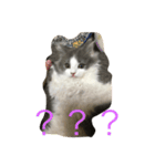 ノルの絵（個別スタンプ：4）