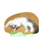 ノルの絵（個別スタンプ：7）