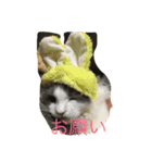 ノルの絵（個別スタンプ：8）