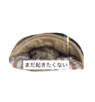 ウニちゃんです（個別スタンプ：2）