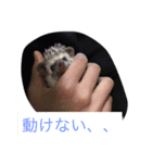 ウニちゃんです（個別スタンプ：5）