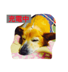 エルのスタンプだよ（個別スタンプ：2）