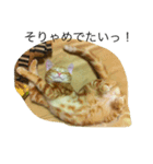 おもかわトラタン（個別スタンプ：2）