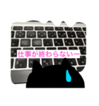 黒猫が代弁します（個別スタンプ：5）