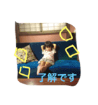 うちのひさきとさく（個別スタンプ：2）
