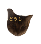 ねるおれ（個別スタンプ：6）