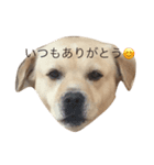 ねるおれ（個別スタンプ：7）