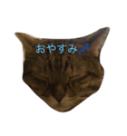 ねるおれ（個別スタンプ：8）