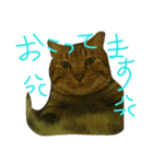 チャイスタンプ 2（個別スタンプ：1）