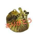 チャイスタンプ 2（個別スタンプ：11）