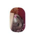 ハムスター大好き（個別スタンプ：12）