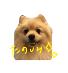 ころろ（個別スタンプ：3）