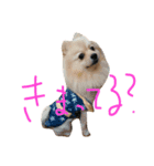 ころろ（個別スタンプ：6）