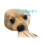 ころろ（個別スタンプ：8）