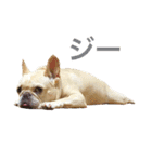 肉かつらおじさん♂さくらの日常①（個別スタンプ：2）