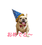 肉かつらおじさん♂さくらの日常①（個別スタンプ：4）