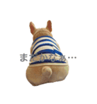 肉かつらおじさん♂さくらの日常①（個別スタンプ：7）