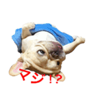 肉かつらおじさん♂さくらの日常①（個別スタンプ：9）