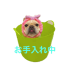 肉かつらおじさん♂さくらの日常①（個別スタンプ：10）