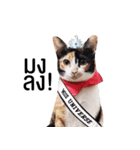Cat Gangster（個別スタンプ：1）