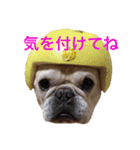 肉かつらおじさん♂さくらの日常②（個別スタンプ：2）