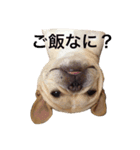 肉かつらおじさん♂さくらの日常②（個別スタンプ：4）