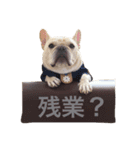 肉かつらおじさん♂さくらの日常②（個別スタンプ：9）