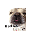 肉かつらおじさん♂さくらの日常②（個別スタンプ：13）