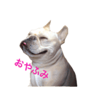 肉かつらおじさん♂さくらの日常②（個別スタンプ：14）