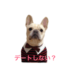 肉かつらおじさん♂さくらの日常②（個別スタンプ：15）