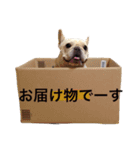 肉かつらおじさん♂さくらの日常②（個別スタンプ：16）