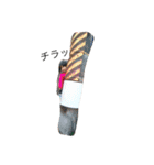 NonoUruSari（個別スタンプ：16）