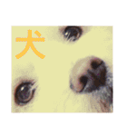 ねぎちゃんの自分すたんぷ（個別スタンプ：19）