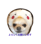 ao's dogs 2（個別スタンプ：6）