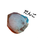 ハムスターなの（個別スタンプ：7）