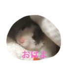 まめぐれ（個別スタンプ：5）