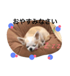 乙とちくわの日常（個別スタンプ：4）