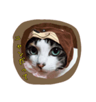 猫姫ちゃん（個別スタンプ：3）
