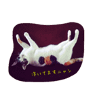 猫姫ちゃん（個別スタンプ：8）