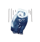 フェレットむんちゃんの毎日（個別スタンプ：5）