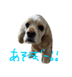 アメコカ モーちゃん（個別スタンプ：3）