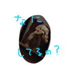 アメコカ モーちゃん（個別スタンプ：14）