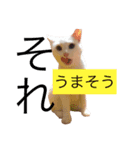 白猫もちでとりあえず返信したい（個別スタンプ：3）