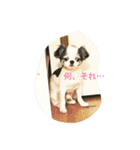 kotethukun（個別スタンプ：3）
