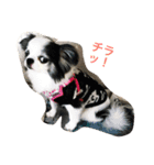 kotethukun（個別スタンプ：8）