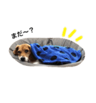 ビーグル犬みんと（個別スタンプ：1）